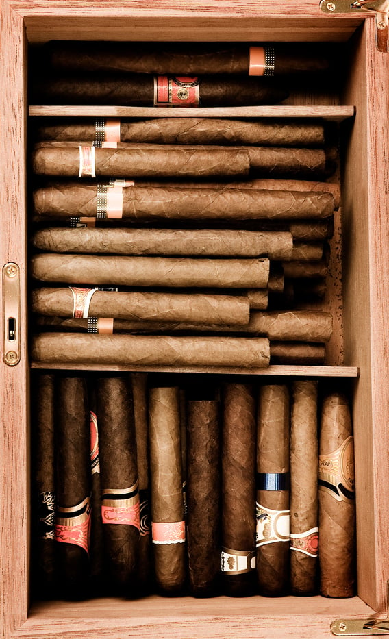 Cigar humidor