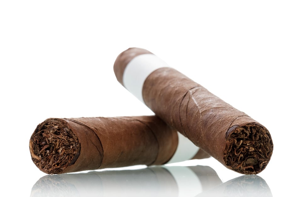 Smoking cigar isolated